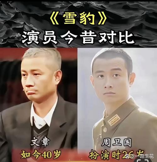 雪豹 (2010)  1080P 国语中字全40集 主演文章