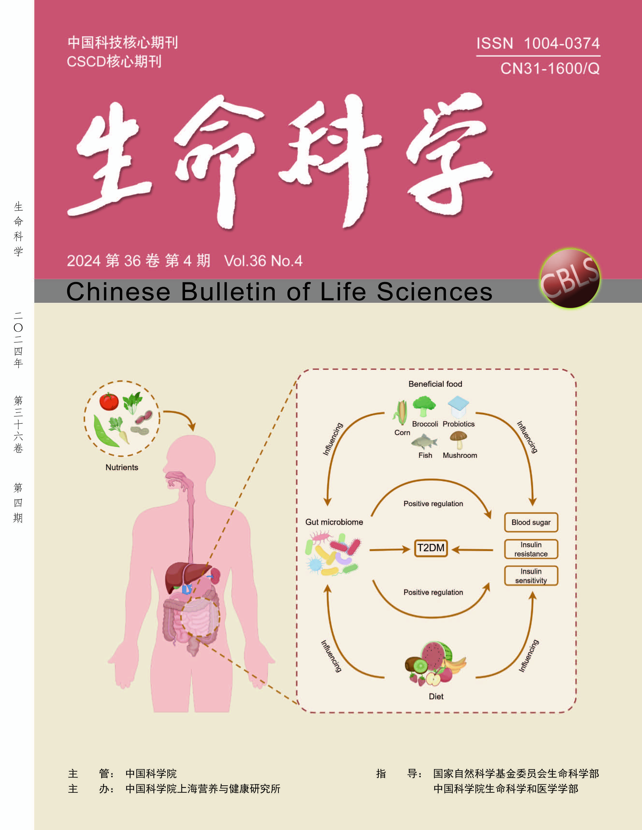 进化症候群