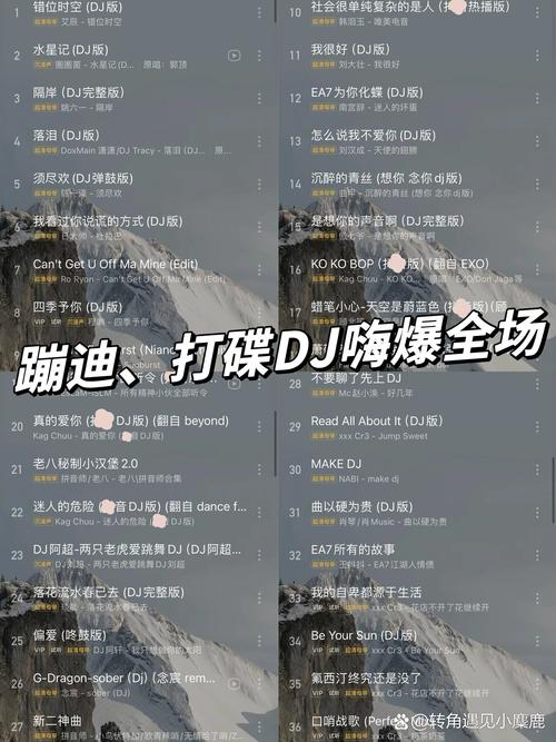 精选DJ、YD歌曲.rar